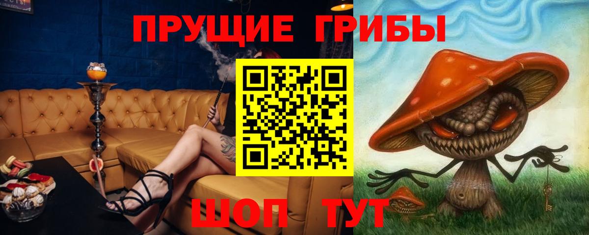 Псилоцибиновые грибы мицелий Кувандык