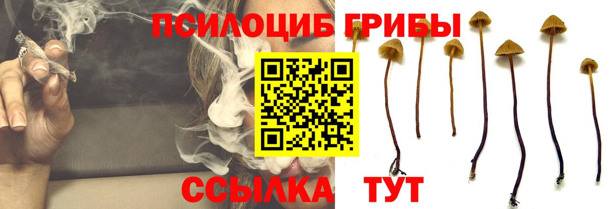 Кувандык  Псилоцибиновые грибы Cubensis  Галлюциногенные грибы мухоморы  где можно купить наркотик  Вход с VPN 